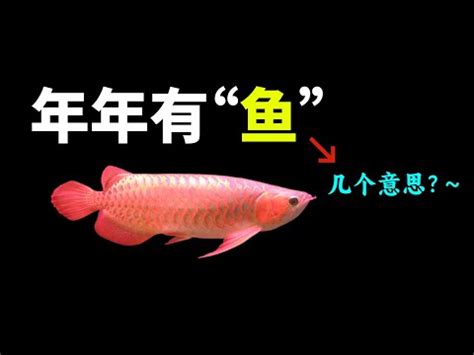 魚意思